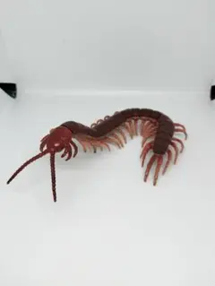 実寸大ムカデフィギュア