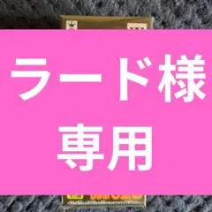 DB ワーコレ トレジャーラリー 四星球＆ドラゴンレーダーver. 販促 