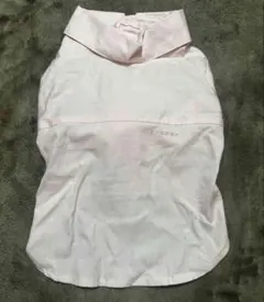 ペットパラダイスのサムネイル