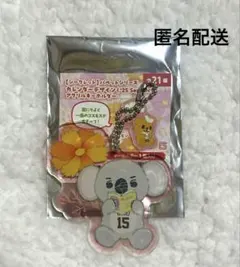 巨人　ジャイアンツ　タイセーブコアラ　カレンダーデザイン　アクリルキーホルダー