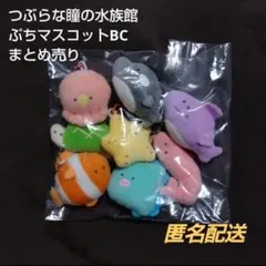 つぶらな瞳の水族館 ぷちマスコットBC たこ えび さめ まとめ売り セット