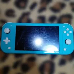 ブ*ー様 【ジャンク品】Nintendo Switch LITE