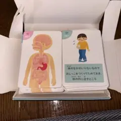DAISO 知育カード　体の仕組みカードのサムネイル