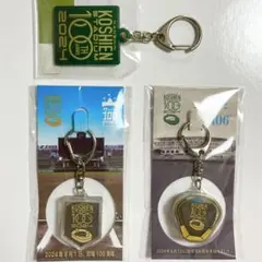 阪神甲子園球場 100周年記念 甲子園の土、キーホルダー 3個セット
