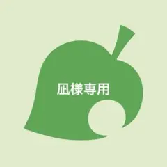 凪様 リクエスト 2点 まとめ商品