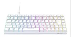 ゲーミングキーボード 有線 テンキーレス 75%サイズ