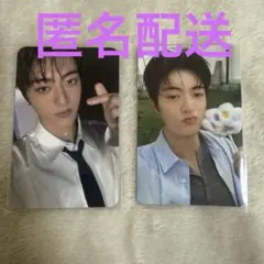 TREASURE Pleasure 特典 トレカ タワレコ ハルト