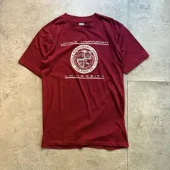 古着　70s artex プリント　tシャツ シングルステッチ　アメリカ