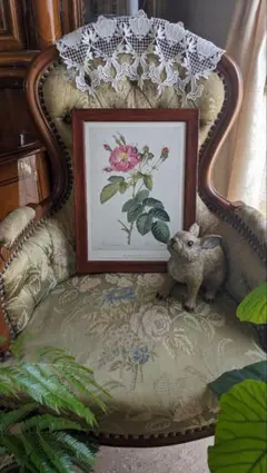 アンティーク額 ルドゥーテ バラ図譜 オクターヴォ版 ボタニカルアート