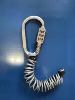 Item thumbnail for item 98ee5aa3-9ce0-4273-a68b-4ed1c4c3ddce