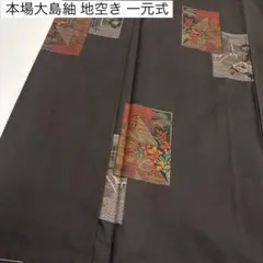 に*〜様 本場大島紬 地空き 一元式 飛び柄 素敵な絣柄 着物 正絹 AK-88