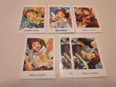 天満光 ぱしゃっつまとめ売り