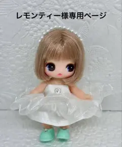 【レモンティー様専用ページ】