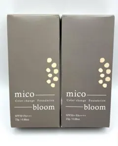 Item thumbnail for item aa2968be-a188-4476-bfc8-ede1ada7beda