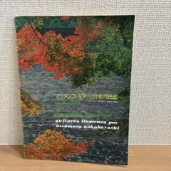 フラメンコ・ギター / 日本の民謡　中林淳真　レコード・コロムビア