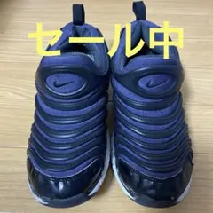 Nike ナイキ　ダイナモフリー　22cm