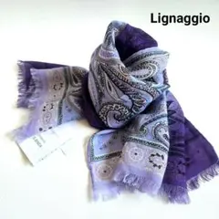 Item thumbnail for item 954ee72e-b337-4897-9683-3aa5ae905b55