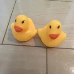 Item thumbnail for item baaf265f-6c8f-4a84-b873-e8dd24483496