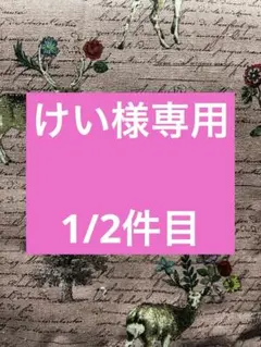 けい様専用　1件目