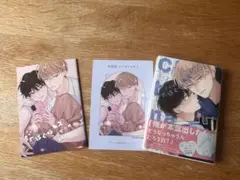 特装版 ちぐはぐなキス 末広マチ　アニメイト