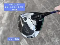 2026年最新】キャロウェイ エリート ドライバー ヘッドのみの人気