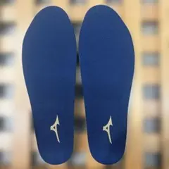 Mizuno M22 ハニカムメッシュインソール　25.0-26.0 cm 新品