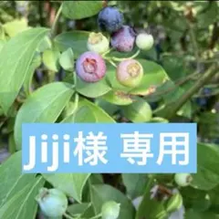 Jiji様 リクエスト 4点 まとめ商品