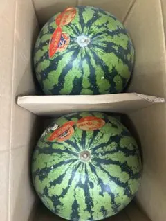 新潟県産 八色西瓜 2玉 秀Lサイズ - メルカリ