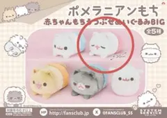 ポメラニアンもち 赤ちゃんもちぬいぐるみXL 2種 大人気 ぬいぐるみ