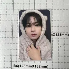 Straykids KARMA FANS プレリス リスパ リノ トレカ