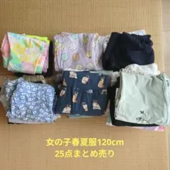 女の子春夏服セット 120cm 26点まとめ売り