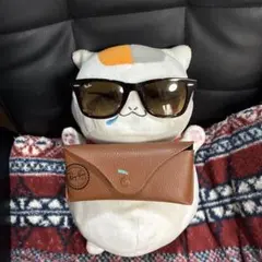 Ray Ban WAYFARER SPECIAL SERIESのサムネイル