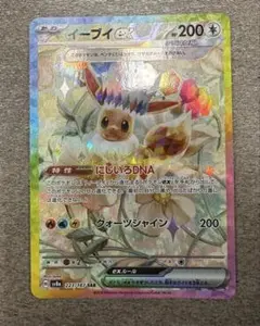 2026年最新】イーブイ ex sarの人気アイテム - メルカリ