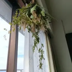 kusshiman様ご確認用　アナベルのフライングスワッグ　45cm［643]