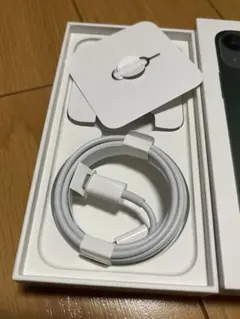 Apple 純正 ライトニングケーブル