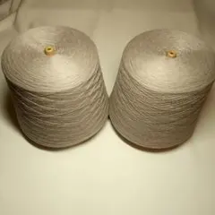 Item thumbnail for item 7491c51e-8679-4897-a00c-7448fe515811