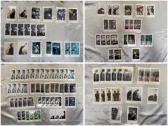 いれいす りうら hotoke いむ 初兎 ないこ If 悠佑 チェキ ポスカ