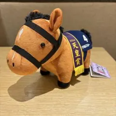 2026年最新】バブルガムフェローの人気アイテム - メルカリ