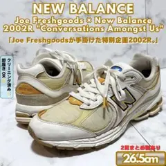 Joe Freshgoods×ニューバランス 2002R 限定 26.5cm