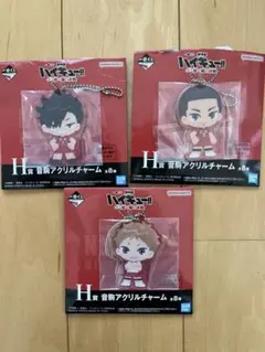 一番くじ劇場版ハイキュー‼︎ゴミ捨て場の決戦2　H賞 アクリルチャーム