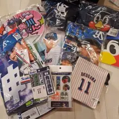 東京ヤクルトスワローズ　奥川恭伸　つば九郎　 タオル、ユニフォーム他15点セット