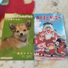 Item thumbnail for item f908ba09-6b16-4495-8b4d-8c0ed5081489