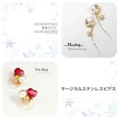 蘭ちゃん様専用ページ