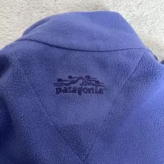 Patagonia フリース アメ製