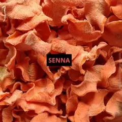 Item thumbnail for item c83fdc6e-2e74-47f6-959b-a51877a757e9