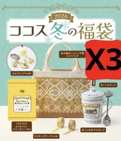 ⭐️【ココス　２０２６福袋】　グッズ6点　3セット⭐️