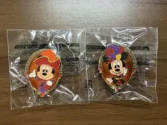 ディズニー ミッキー ミニー ピンバッジ セット