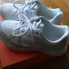 Item thumbnail for item c1f8ef6d-a3f0-404f-ad9d-b14dc459d111