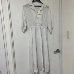 Item thumbnail for item 1b7e23af-4f2d-409f-8f02-c6096b4163fd