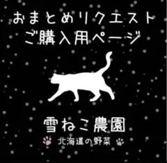 Senchan様 リクエスト 3点 まとめ商品